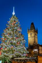 Prague Christmas Market Tree